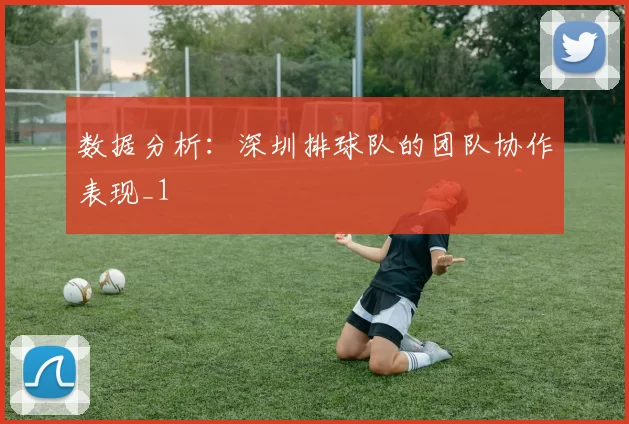 数据分析：深圳排球队的团队协作表现_1