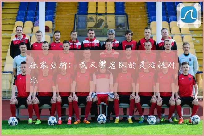 独家分析：武汉攀岩队的灵活性对比