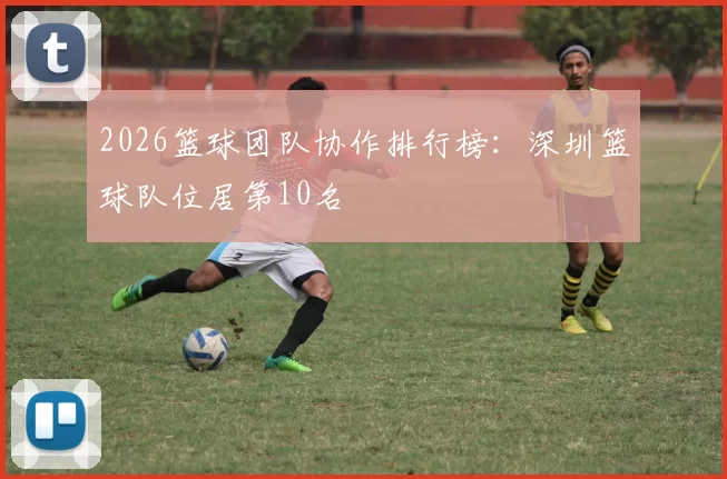 2026篮球团队协作排行榜：深圳篮球队位居第10名