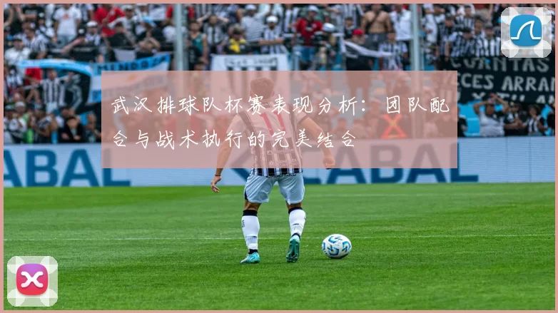 武汉排球队杯赛表现分析：团队配合与战术执行的完美结合