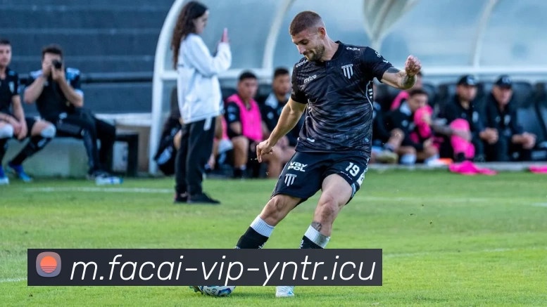 米兰体育平台生态图